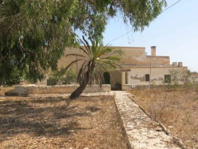 MUSEO FORMENTERA PLAN DE CULTURA